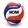 Molten  Volleyball
